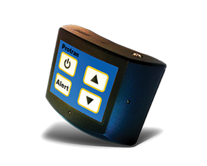Flagger Device